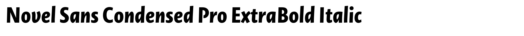 Novel Sans Condensed Pro ExtraBold Italic image